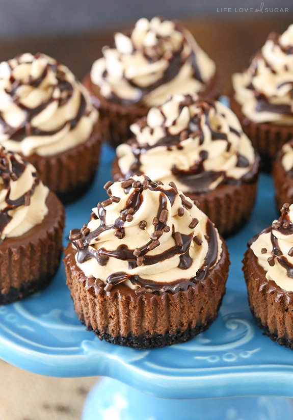 Bailey's Chocolate Mini Cheesecakes