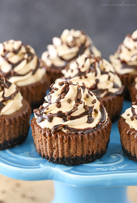 Bailey's Chocolate Mini Cheesecakes