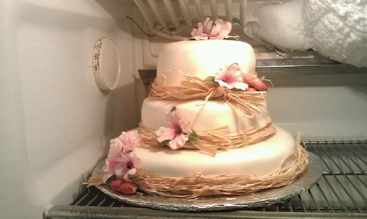 11 Photos of Country Themed Shower Cakes