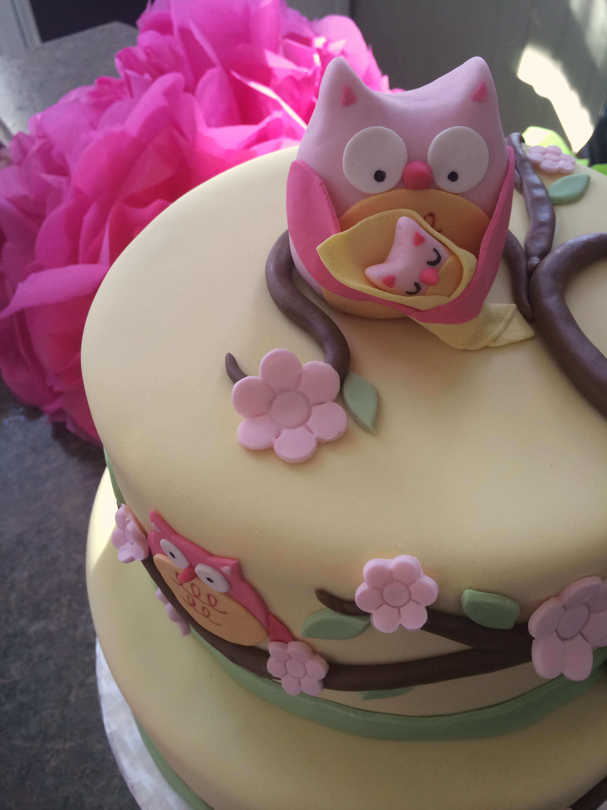 Owl Baby Shower Cake