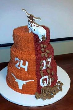 Longhorn Football Birthday Cake