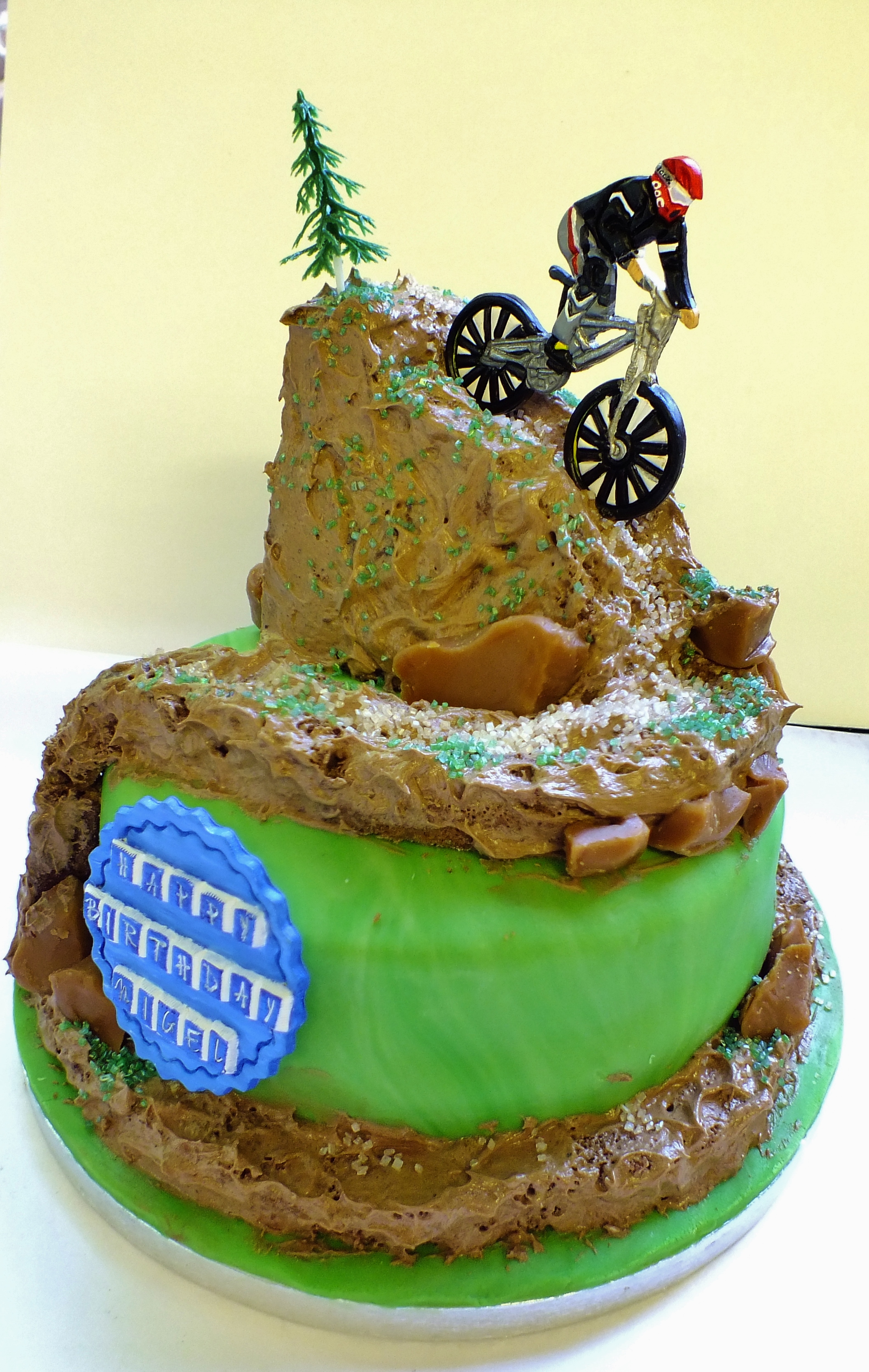 Mountain Bike Birthday Cake