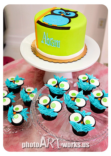 Owl Baby Shower Cake and Cupcakes