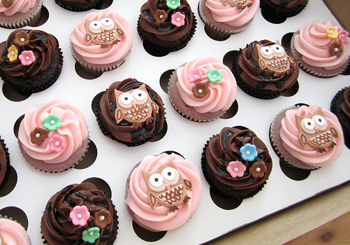 Owl Baby Shower Cupcake Idea