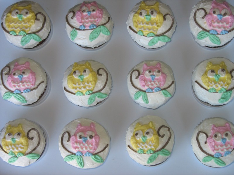 Owl Baby Shower Cupcakes