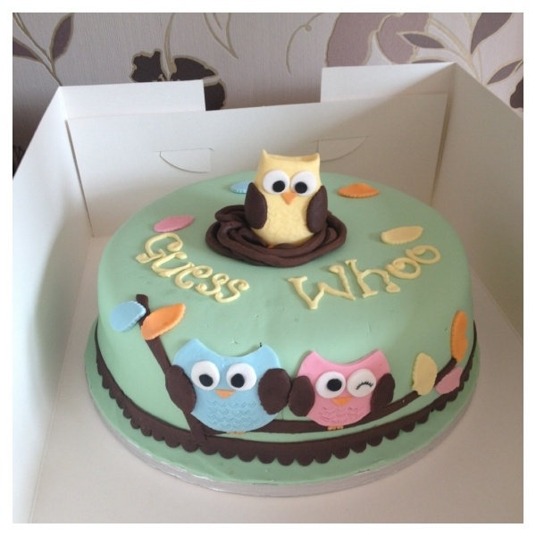 Owl Gender Reveal Cake