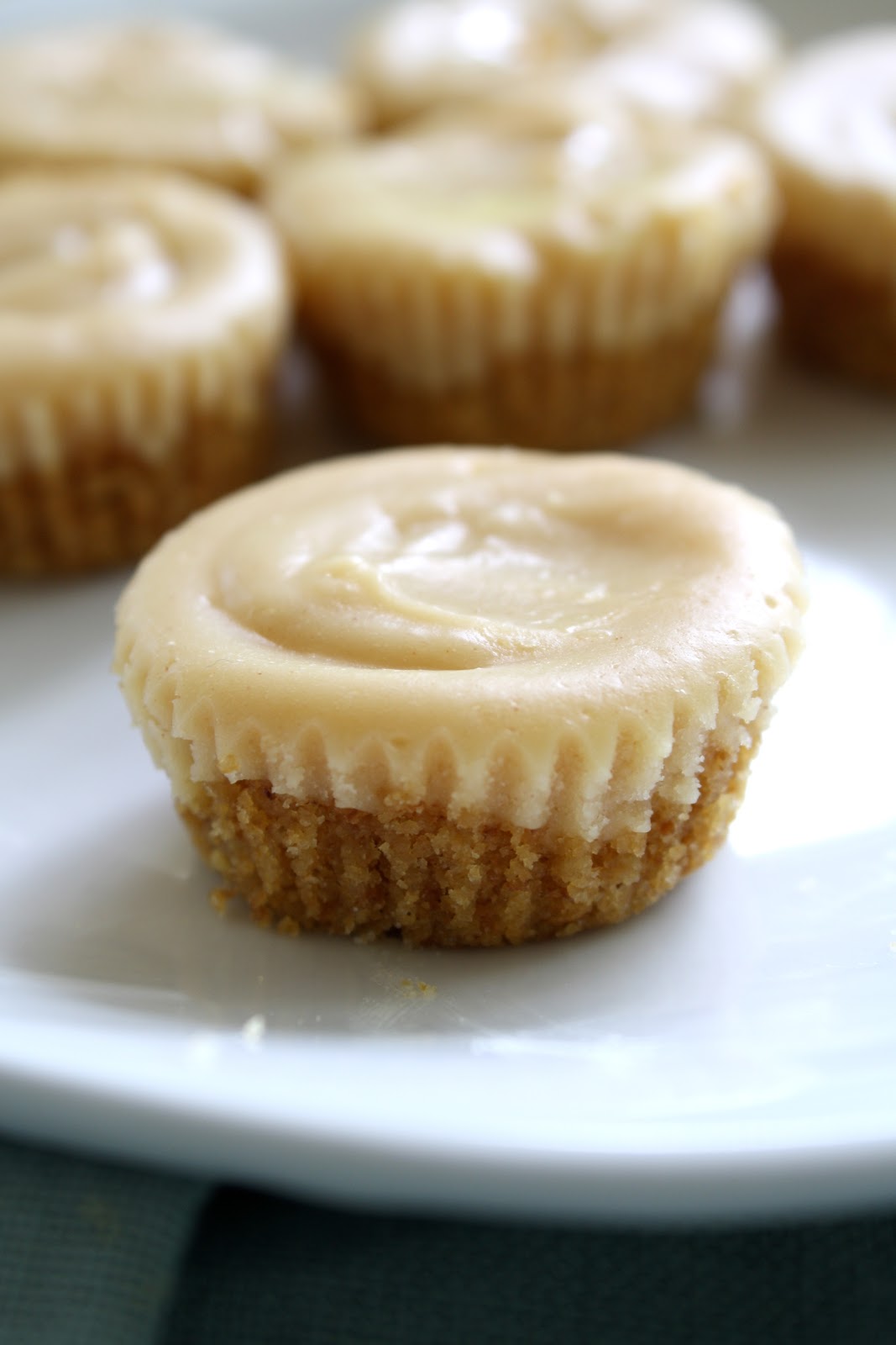 9 Photos of Peanut Butter Mini Cheesecakes