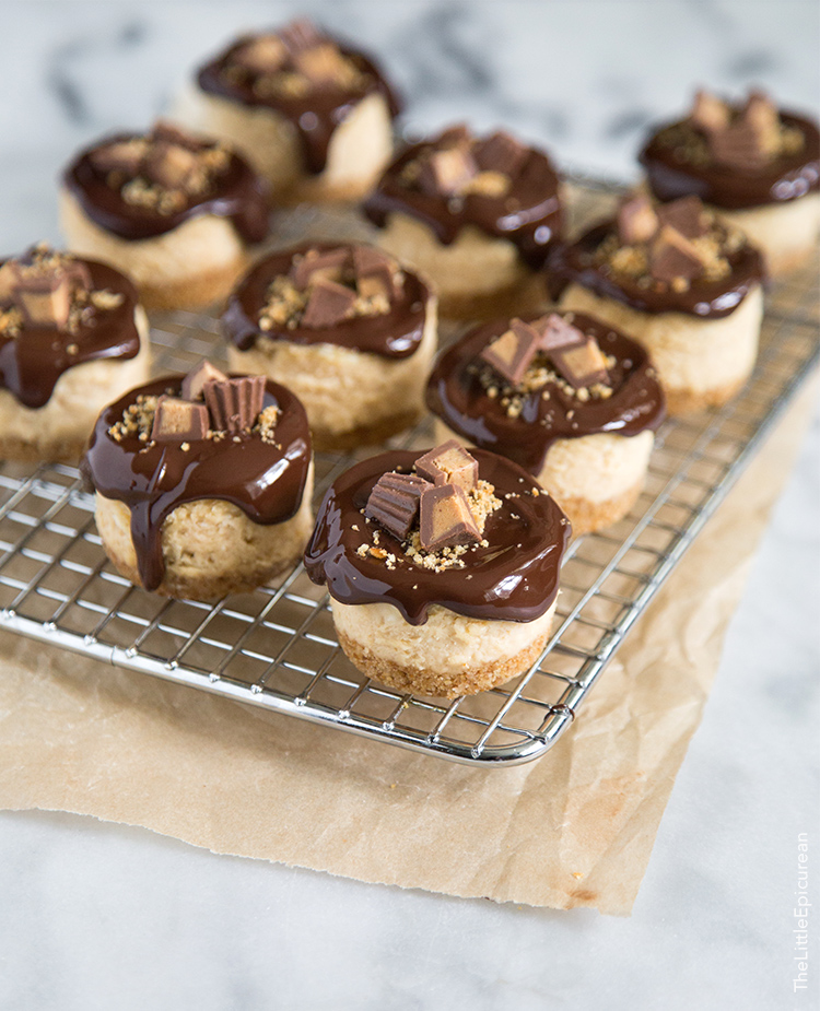 Pretzel Peanut Butter Mini Cheesecakes