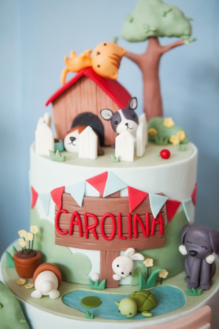 Secret Life of Pets Birthday Cake Ideas