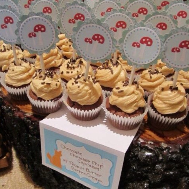 Woodland Baby Shower Cupcake Ideas