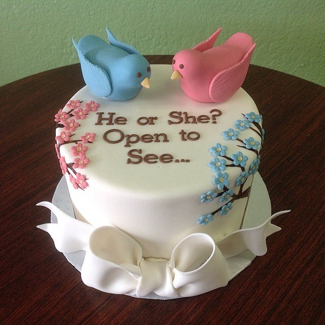 Baby Gender Reveal Cake Idea