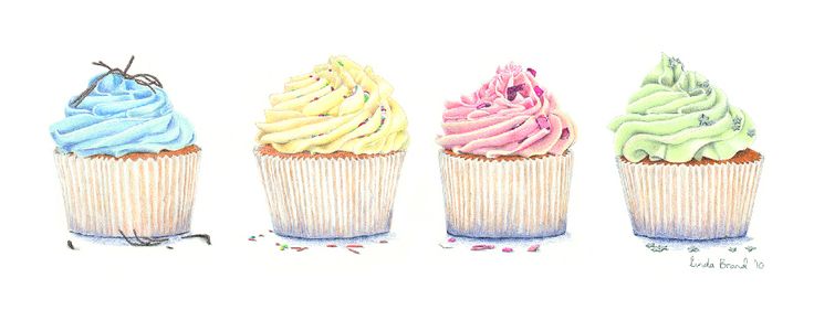 Cupcakes Pencil Drawing