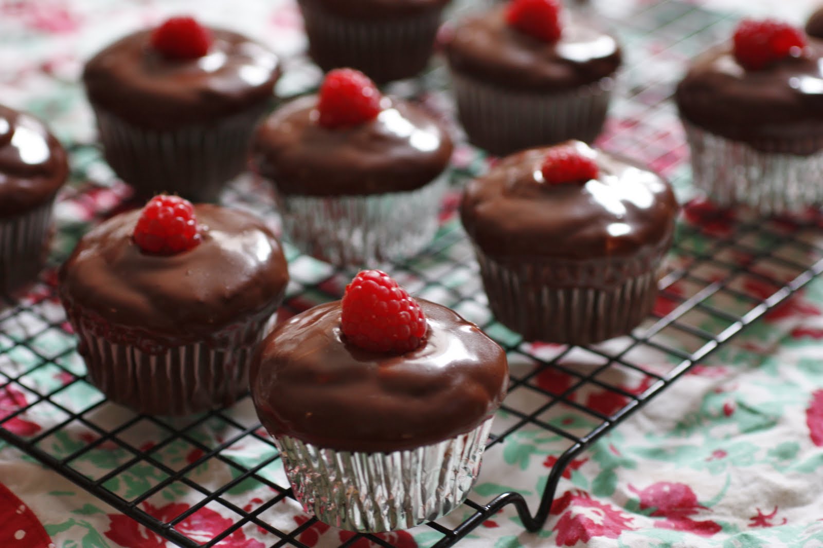 Devil's Food Cake with Raspberry Filling