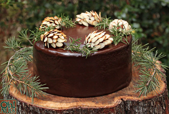 Pine Cone Chocolate Cake