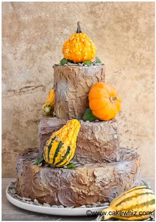 Rustic Fall Tiered Cake