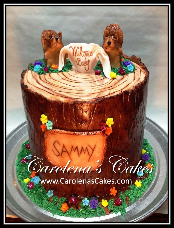 Tree Stump Baby Shower Cake