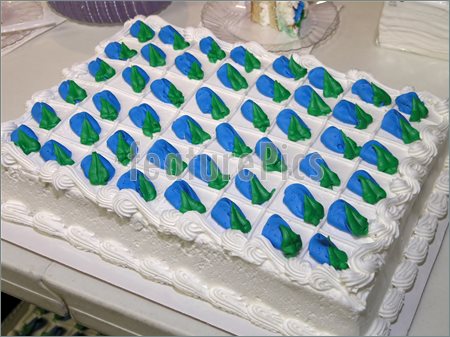 10 Photos of Blue And Green Sheet Cakes