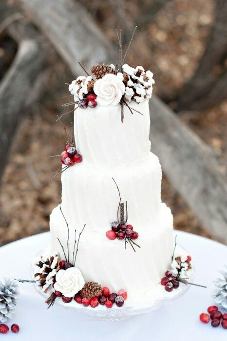 Winter Wedding Cake