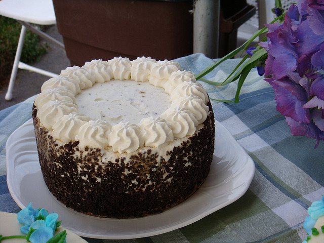 Chocolate Ice Cream Cake