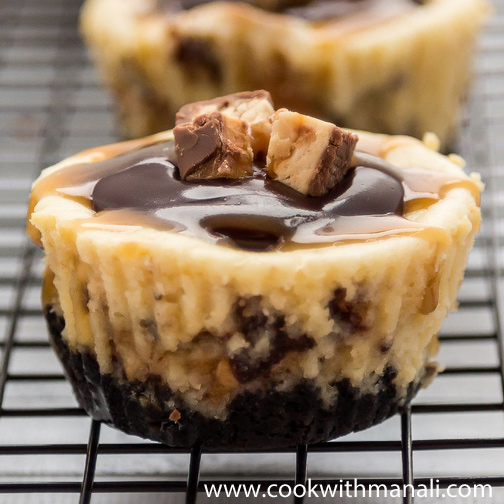 5 Photos of Mini Snickers Caramel Cheesecakes