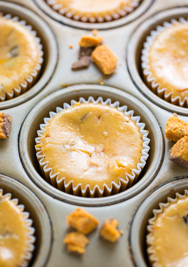 Peanut Butter Butterfinger Cheesecake