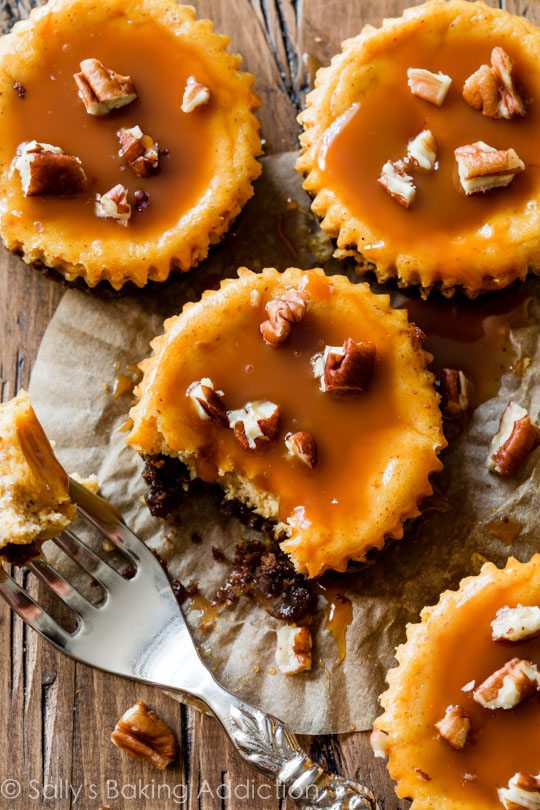 Salted Caramel Pumpkin Cheesecake