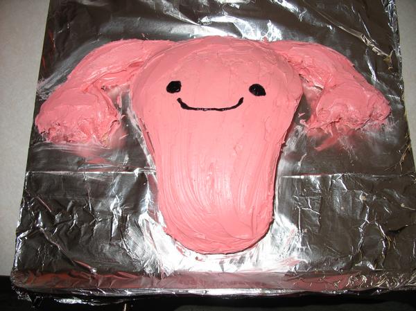 Uterus Cake