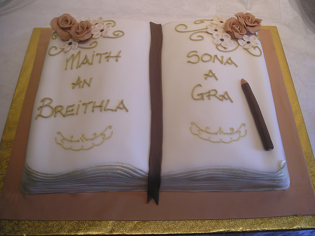 Birthday Cake Shaped Like Open Book