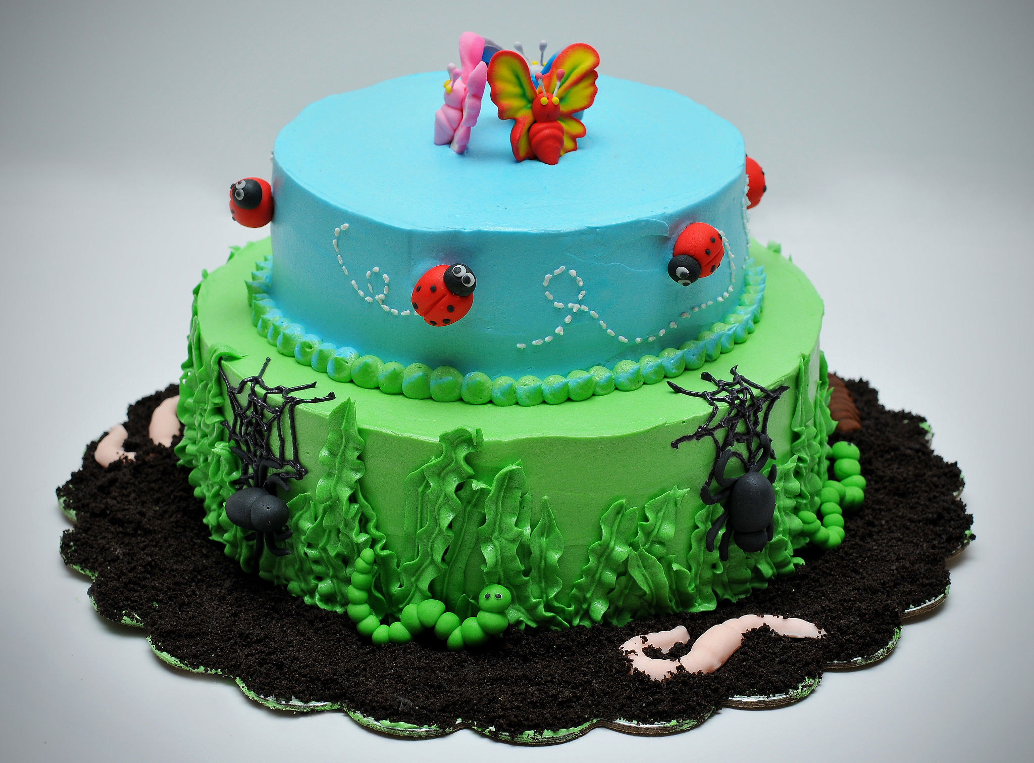 Bug Theme Birthday Cake