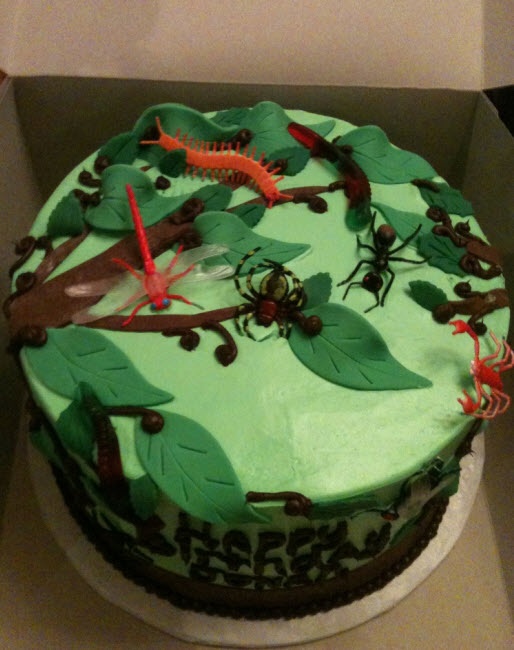 10 Photos of Bug Themed Cakes