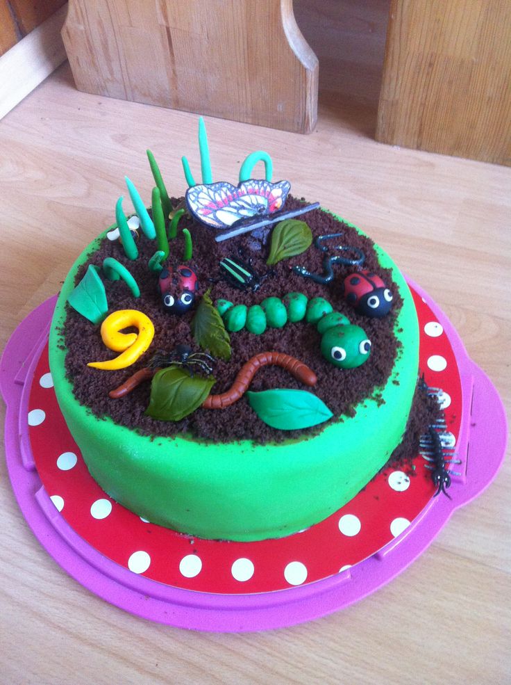 Insect Birthday Cake