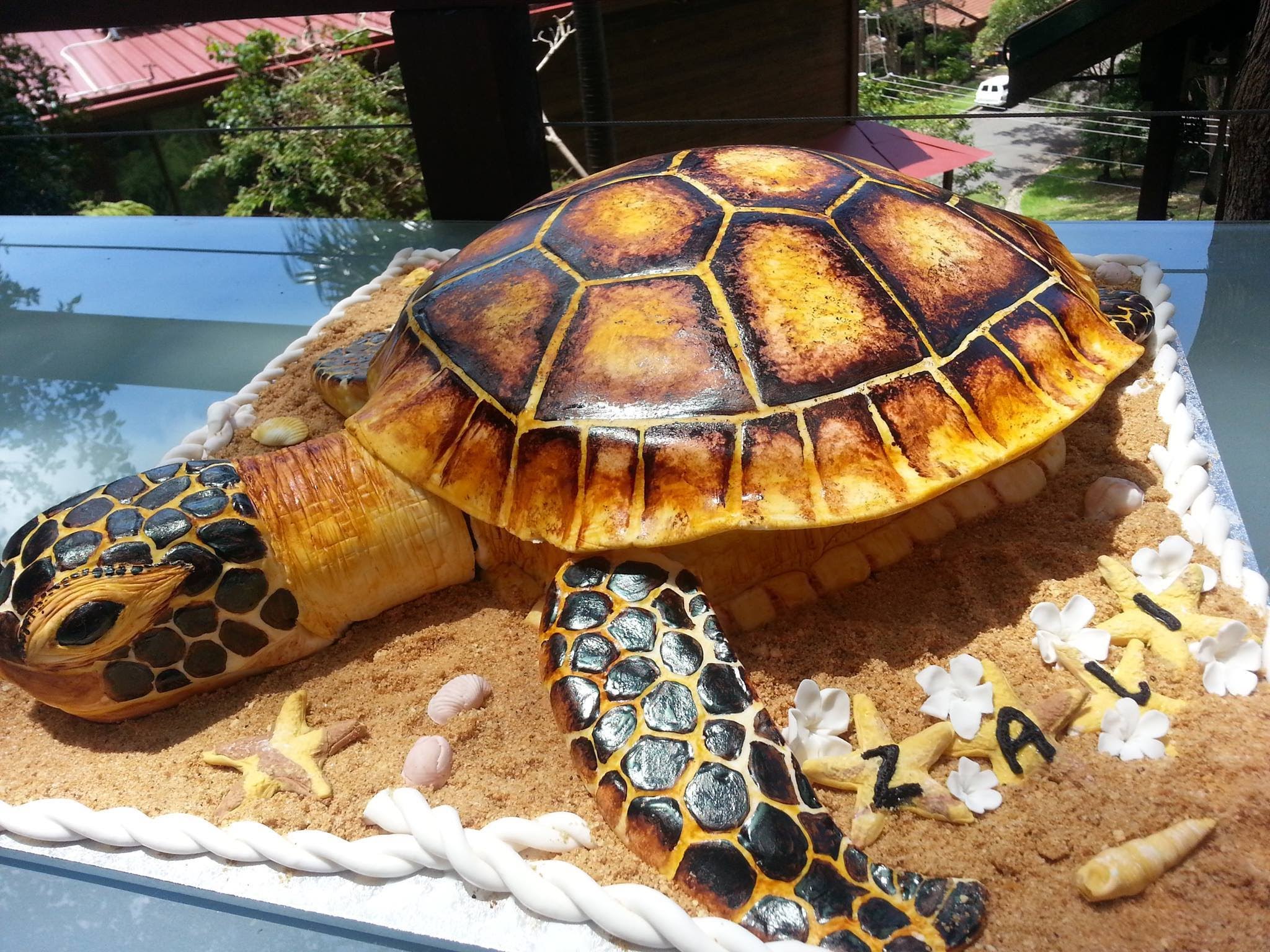 Sea Turtle Cake