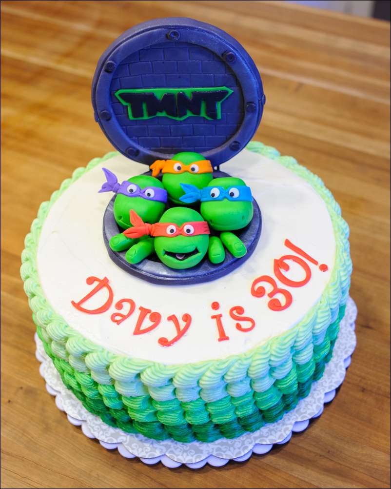 8 Photos of TMNT Circle Buttercream Cakes