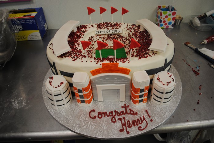 Alabama Crimson Tide Birthday Cake