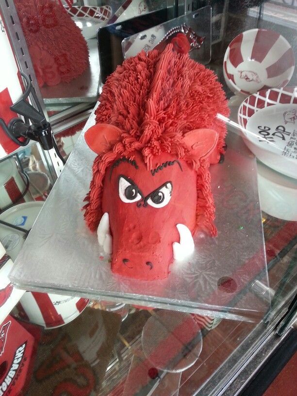 Arkansas Razorbacks Birthday Cake