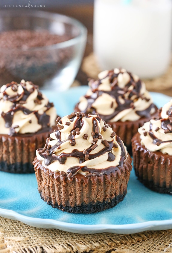 Bailey's Chocolate Mini Cheesecakes