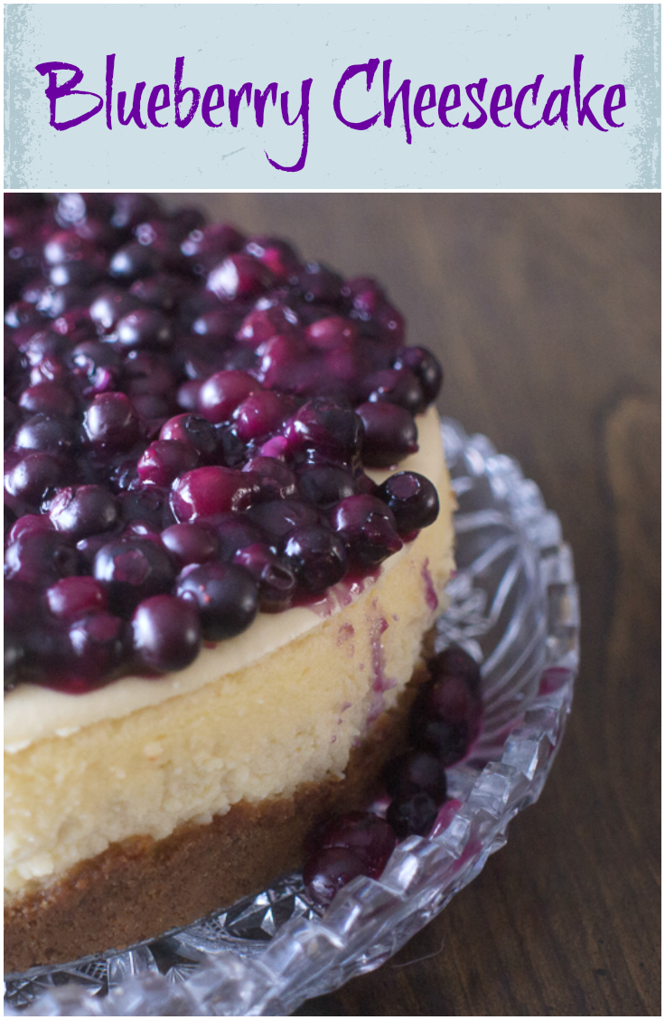 Blueberry Cheesecake Dessert Recipe