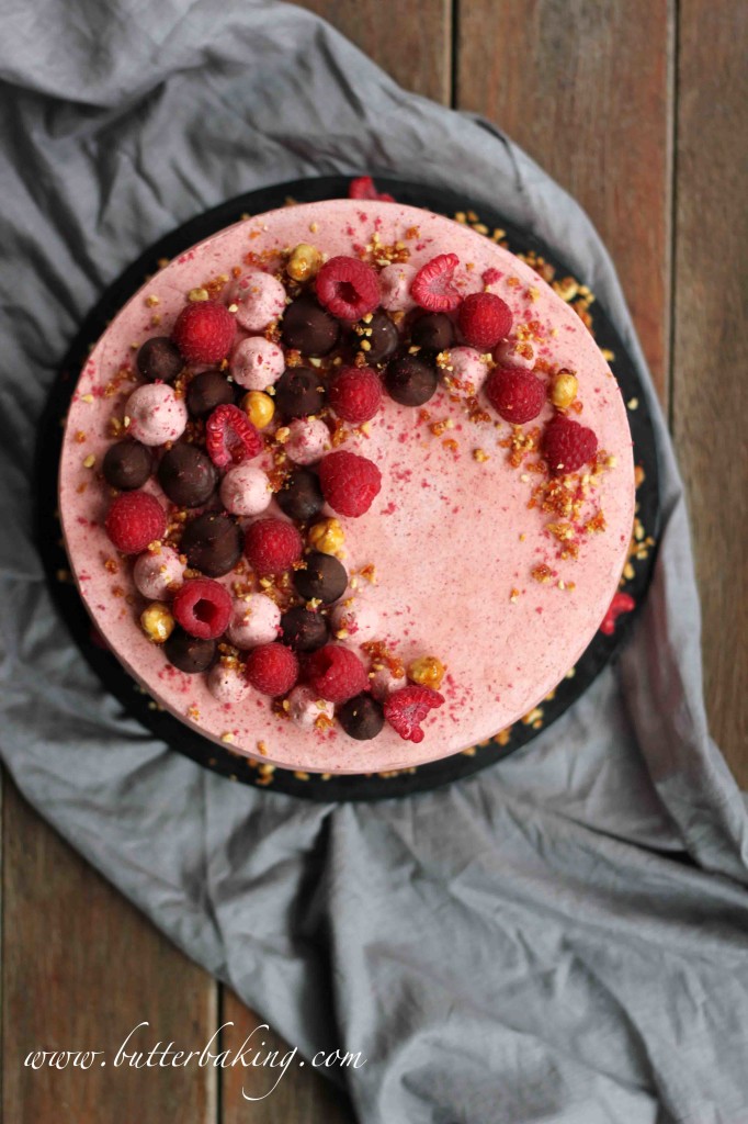 Chocolate Layer Cake with Raspberry