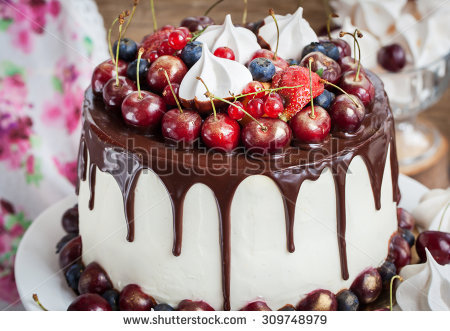 Homemade Seven Layer Chocolate Cake