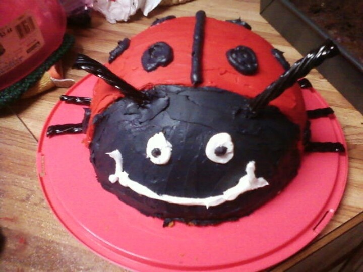 Ladybug Ice Cream Cake