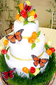 Butterfly Wedding Cake Design