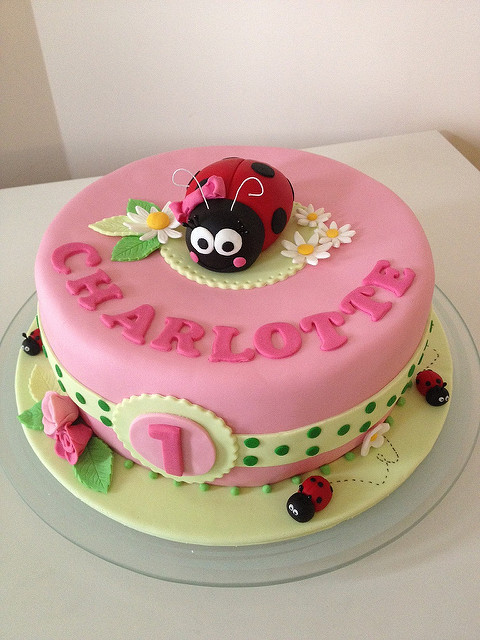 Lady Bird Cake Birthday