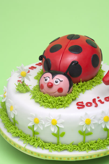 Lady Bird Cake