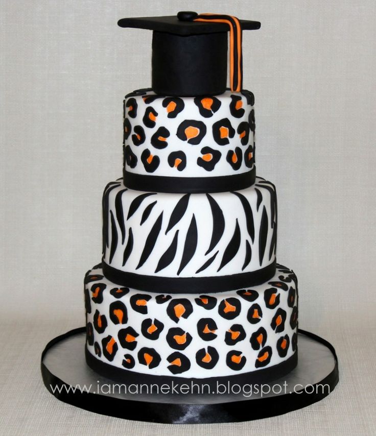 6 Photos of Leopard Graduation Cakes