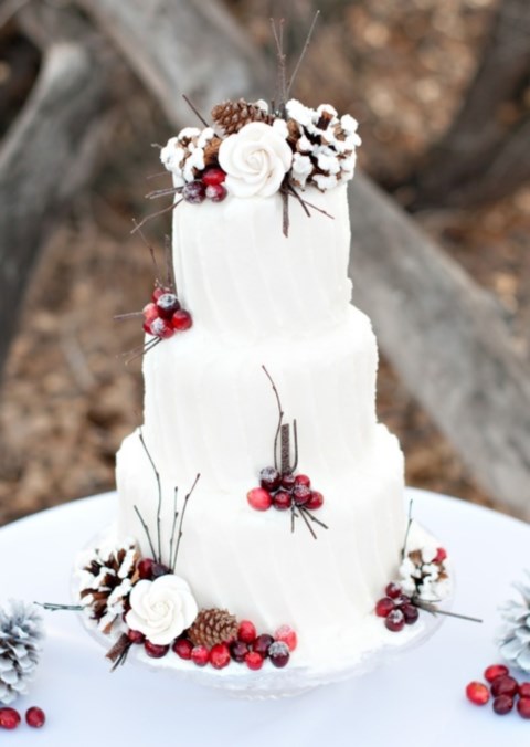 Winter Wedding Cake