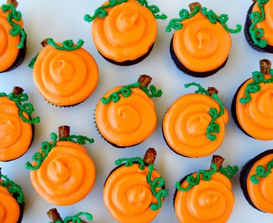 Halloween Cupcakes with Chocolate Frosting