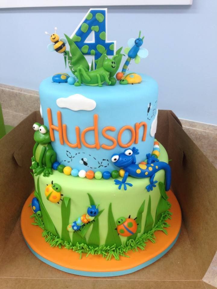 Boy Bug Birthday Cake Ideas