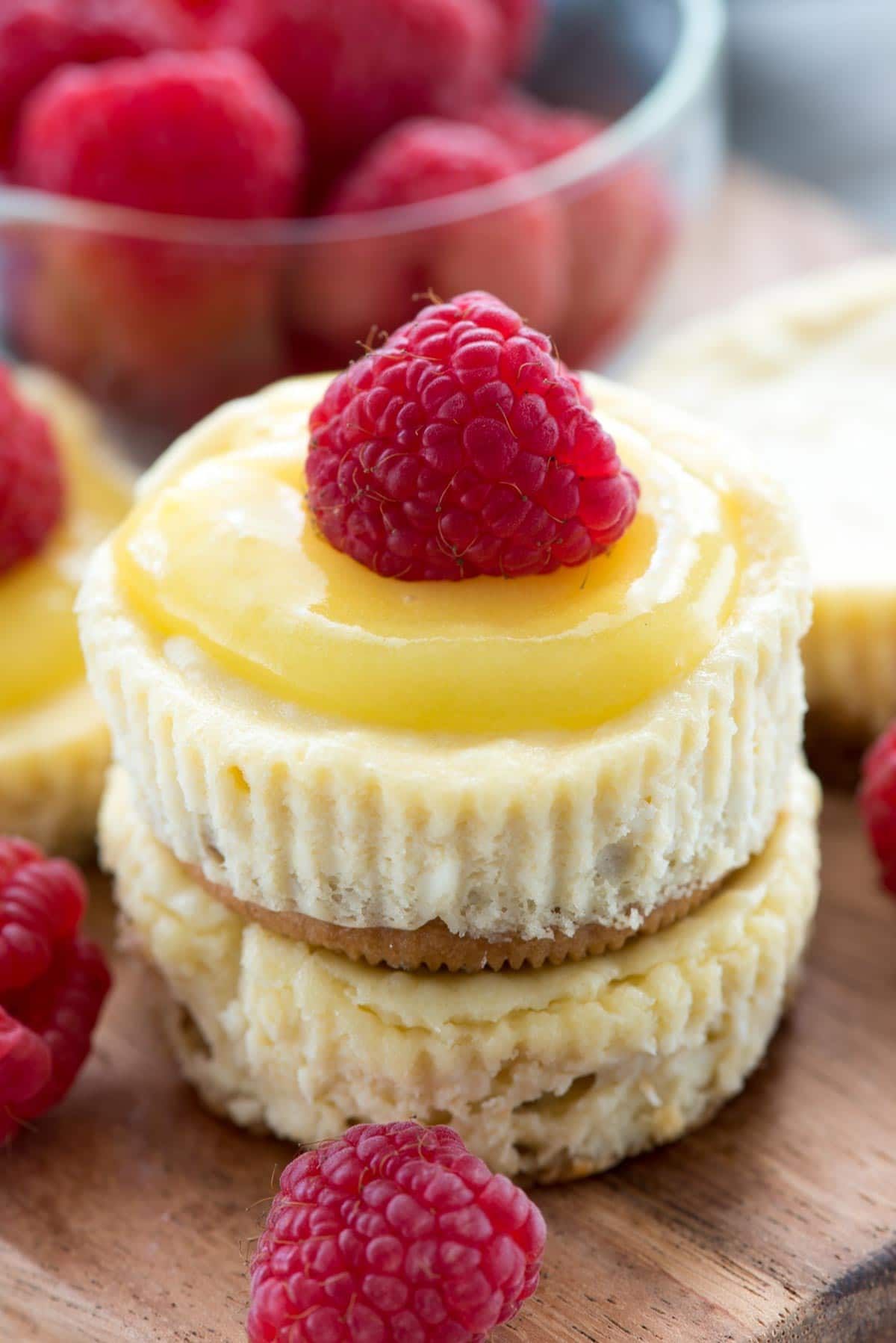 Easy Mini Cheesecake Recipe