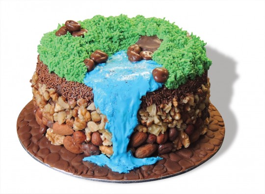 Geology Birthday Cake