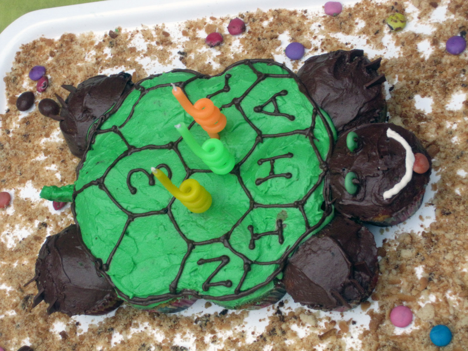 Pull Apart Turtle Cake